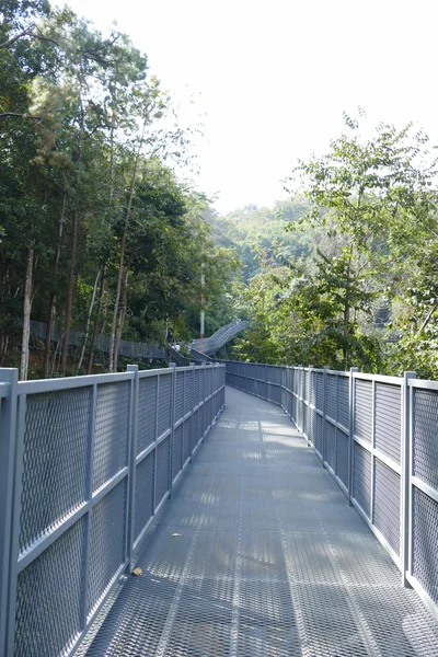 Grijs metalen loopbrug in het park — Stockfoto