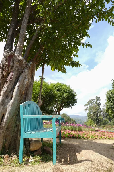 Зеленая скамейка и цветущий цветок на клумбе — стоковое фото