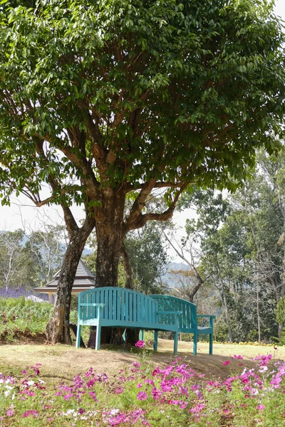 Banco verde y flor en flor en el macizo de flores — Foto de Stock