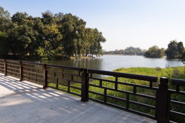 Park su birikintisi genelinde yaya köprüsü