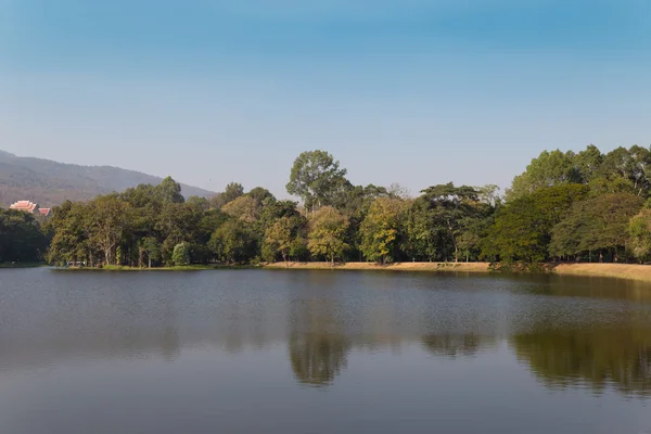山と公園の池 — ストック写真