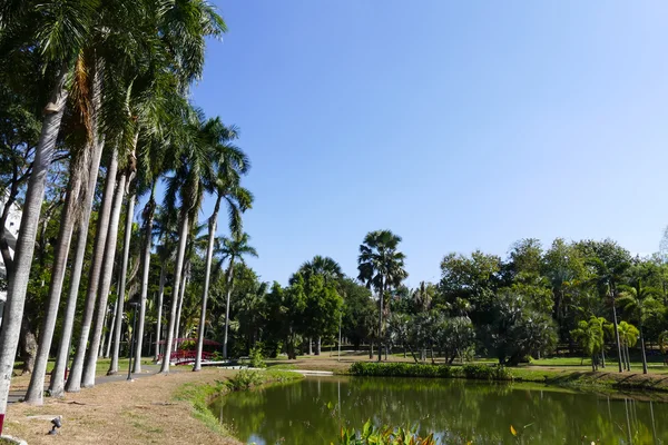 Estanque en el parque — Foto de Stock