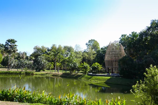 Pond in the park — Stock Photo, Image