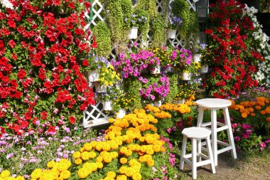 ahşap tabure ve çiçek açan Çiçek Bahçe Dekorasyon