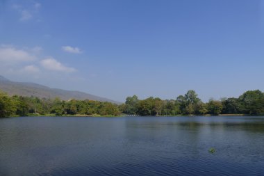 dağ ve parkta gölet