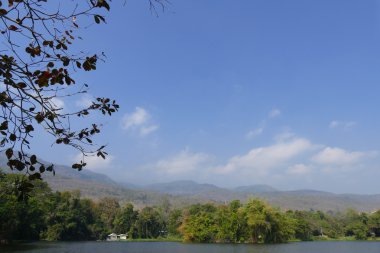 dağ ve parkta gölet