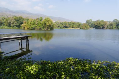 İskele, dağ ve park su birikintisi