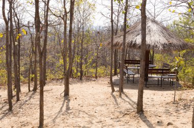 Çardak Forest Hill'de ahşap Bank