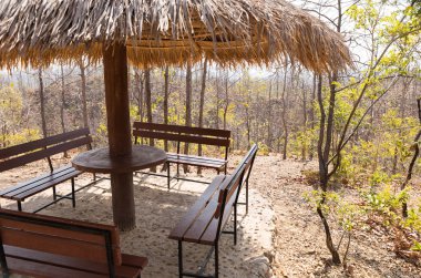 Çardak Forest Hill'de ahşap Bank