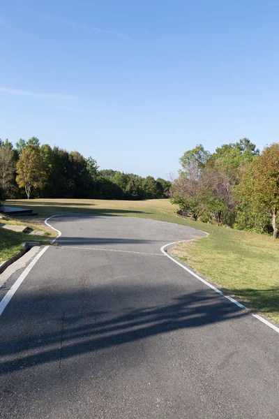 road and lawn yard in the park