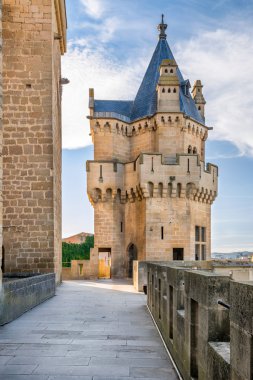Olite kalede navarra, İspanya