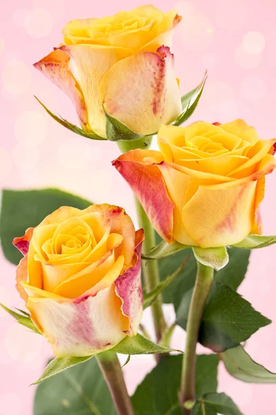 Yellow with red roses — Stock Photo, Image