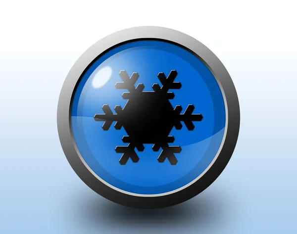 Sneeuw pictogram. circulaire glanzende knop. — Stockfoto