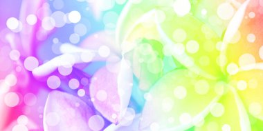 Çok renkli çiçek arkaplanındaki beyaz bokeh. Çiçek gradyanı çoklu coclor deseninde soyut çember