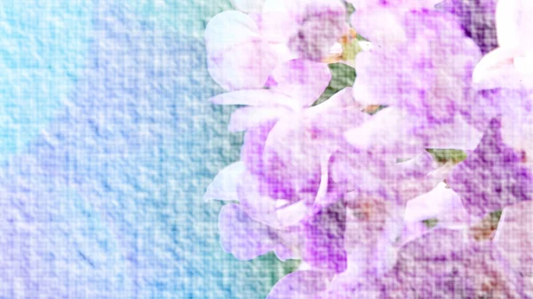 Wazige Orchidee Foto Met Blauwe Achtergrond Canvas Achtergrond — Stockfoto