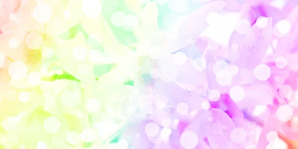 Bokeh Wter Drop Gradient Multi Color Orchidej Bouquet Pattern — Stock fotografie