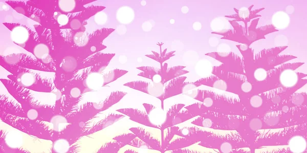 Sneeuw Druppel Dennenboom Roze — Stockfoto