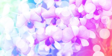 çok renkli arkaplanda beyaz bokeh. Garanti çoklu coclor üzerindeki soyut çember deseni