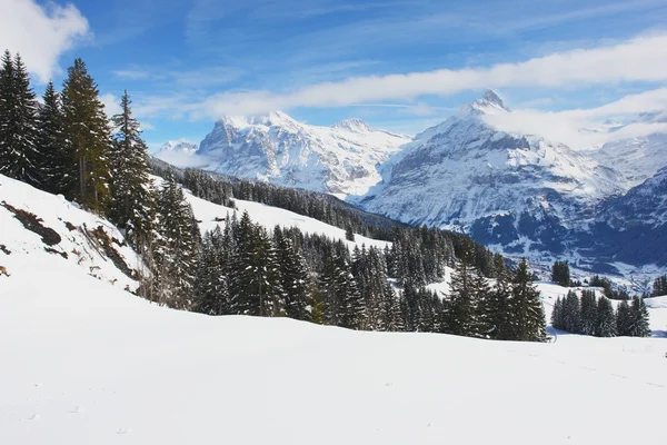 Grindelwald —  Fotos de Stock