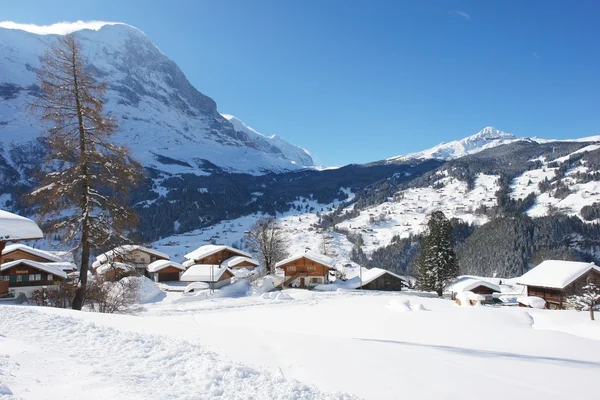 Grindelwald —  Fotos de Stock