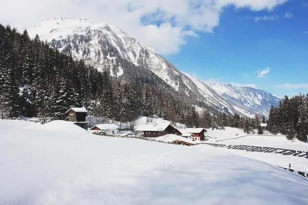 Winter landscape — Stock Photo, Image