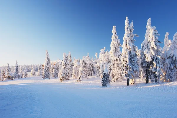 Krkonose, Czech Republic — Stock Photo, Image