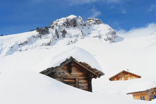 Grindelwald, Zwitserland — Stockfoto