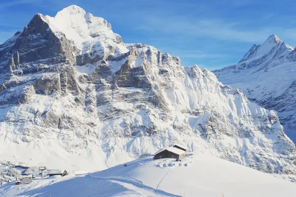 Grindelwald, Schweiz Stockfoto