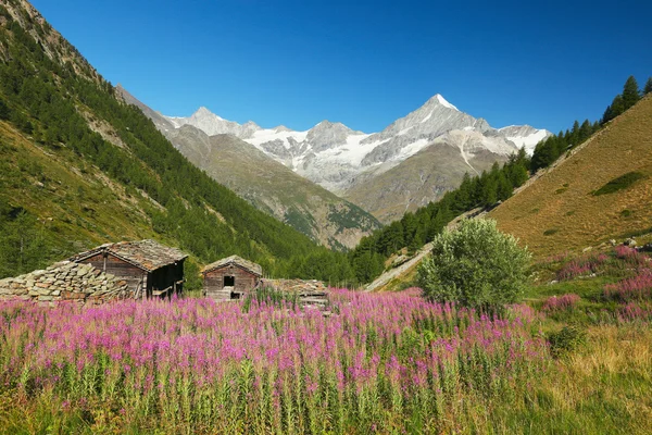 Taschalp — Stok fotoğraf