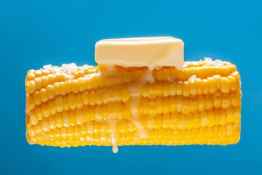 Bir parça tereyağı sıcak pişmiş mısırın üzerinde eritilir. Açık mavi arka planda büyük bir sarı mısır kulağı gösterilir. Yiyecek havalanması. Gıda ile yaratıcı konsept.