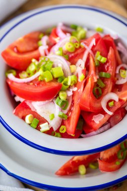 Taze taze, sulu, yeşil soğanlı ve sebze yağlı domates salatası. Lezzetli ve sağlıklı bir yemek için kavram.