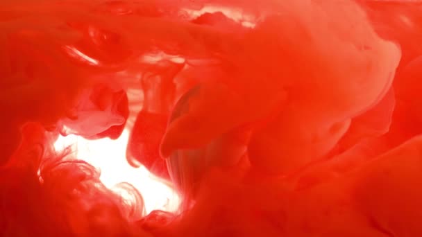 Fluido Color Movimiento Pintura Roja Vierte Sobre Huevo Blanco Agua — Vídeos de Stock