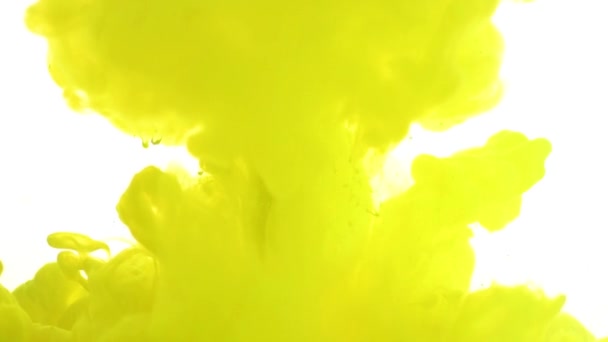 Kolorowy Płyn Ruchu Żółta Farba Wylewa Się Białe Jajko Wodzie — Wideo stockowe