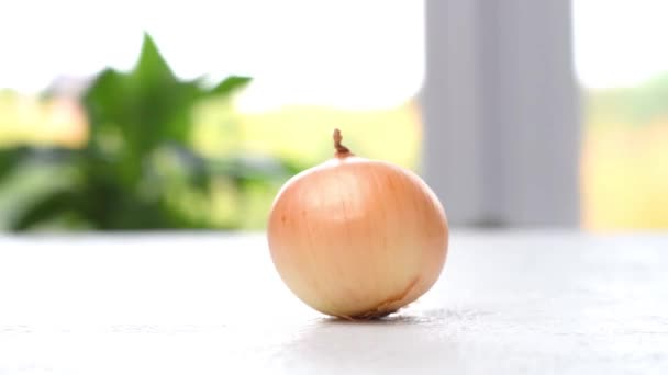 Las Cebollas Frescas Giran Sobre Mesa Cámara Mueve Efecto Paralelo — Vídeo de stock