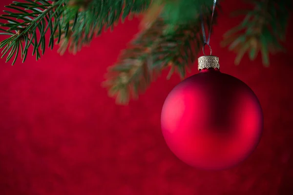 Červený vánoční míč na stromě vybavuju na červeném bokeh pozadí. Veselý vánoční přání. Zimní svátky. Téma Xmas. Šťastný nový rok. — Stock fotografie