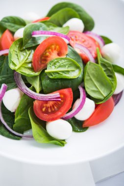 Mozzarella peyniri, domates, ıspanak ve mor soğan ile taze salata yakın
