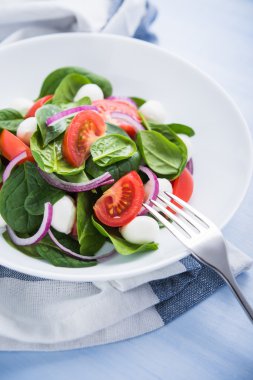 Mozzarella peyniri, domates, ıspanak ve mor soğan ile taze salata mavi ahşap arka plan yakın