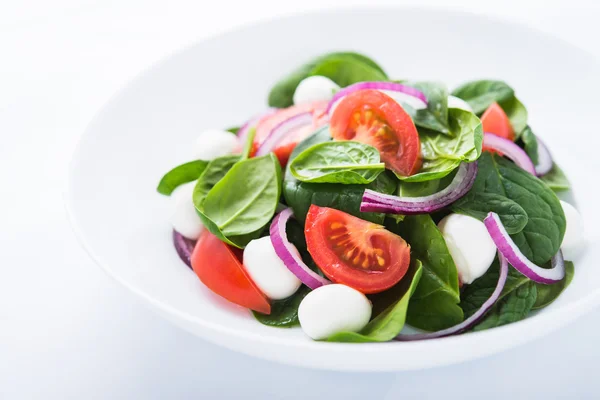 Frischer Salat mit Mozzarella, Tomaten, Spinat und lila Zwiebeln aus nächster Nähe — Stockfoto