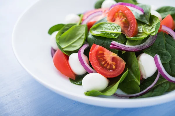 Salade fraîche au fromage mozzarella, tomate, épinards et oignon violet sur fond de bois bleu close up — Photo