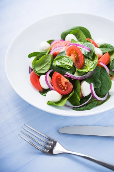 Salată proaspătă cu brânză mozzarella, roșii, spanac și ceapă violet pe fundal albastru din lemn aproape — Fotografie, imagine de stoc