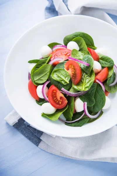 Frischer Salat mit Mozzarella, Tomate, Spinat und lila Zwiebel auf blauem Holzhintergrund in Nahaufnahme — Stockfoto