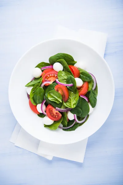 Frischer Salat mit Mozzarella, Tomate, Spinat und lila Zwiebel auf blauem Holzhintergrund von oben — Stockfoto