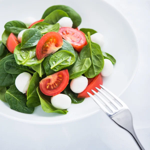 Frischer Salat mit Mozzarella, Tomate und Spinat auf weißem Papier Hintergrund Nahaufnahme — Stockfoto