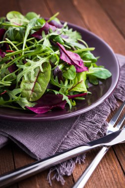 Koyu ahşap arka plan üzerinde karışık yeşillik (arugula, mesclun, pala) ile taze salata yakın.