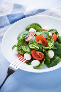 Mozzarella peyniri, domates, ıspanak mavi ahşap zemin üzerine taze salata yakın çekim.