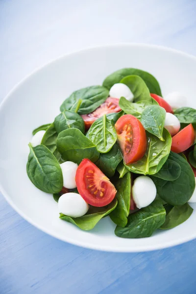 Frischer Salat mit Mozzarella, Tomaten und Spinat auf blauem Holzgrund in Großaufnahme. — Stockfoto