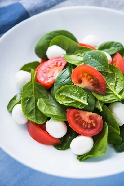 Salada fresca com queijo mussarela, tomates e espinafre em fundo de madeira azul close up . — Fotografia de Stock