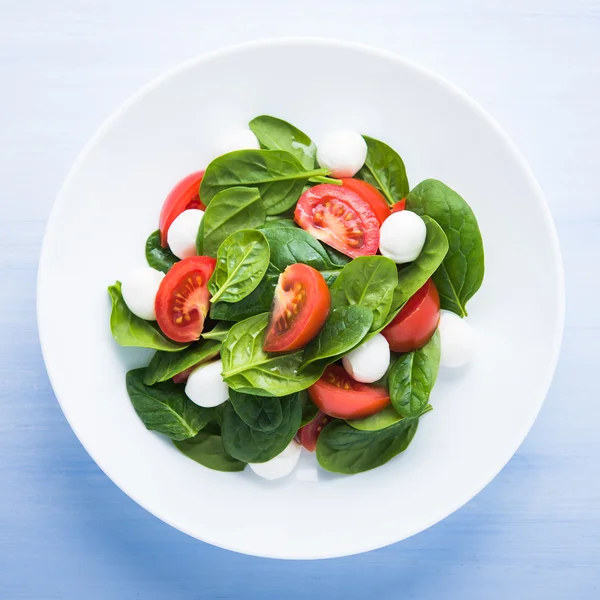 Mozzarella peyniri, domates, ıspanak üzerinde mavi ahşap arka plan üstten görünüm taze salata.
