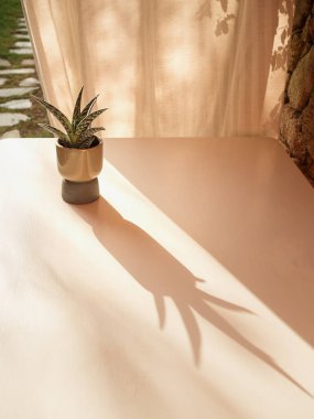 Saksı Sulu ve Gölgesi Beyaz Masa ve Güneş Işıklı Veranda Örtüleri, Dikey Kapalı