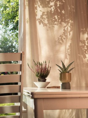 Sunlit Patio Still Life with Succulent ve Heather on White Table, Lounge Chair ve Drape Floral Shadows
